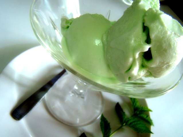 Gelato alla menta fatto in casa