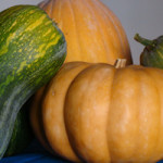 foto zucca